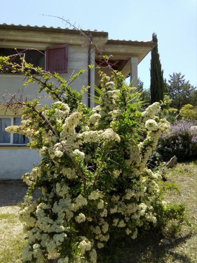 Casa D' Artista B&B Ozieri Ngoại thất bức ảnh