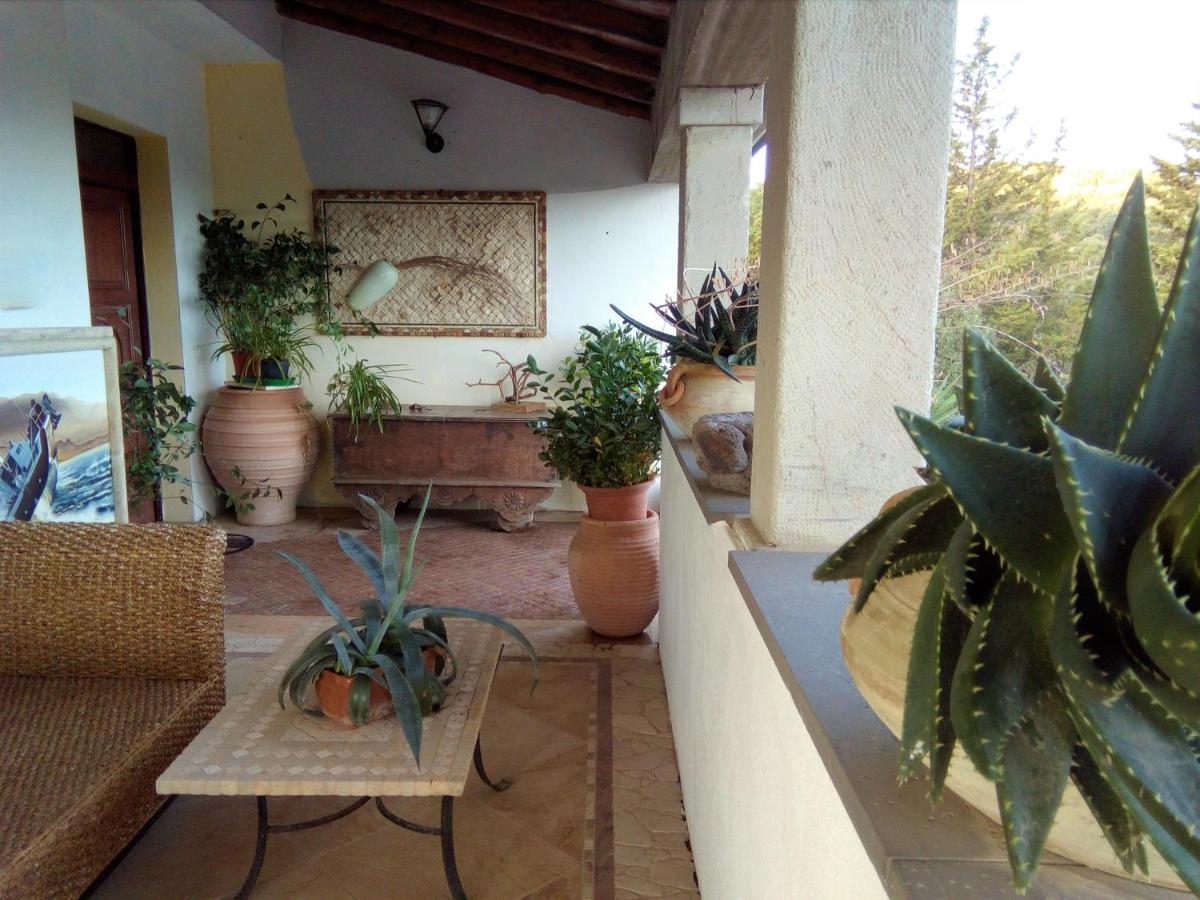 Casa D' Artista B&B Ozieri Ngoại thất bức ảnh